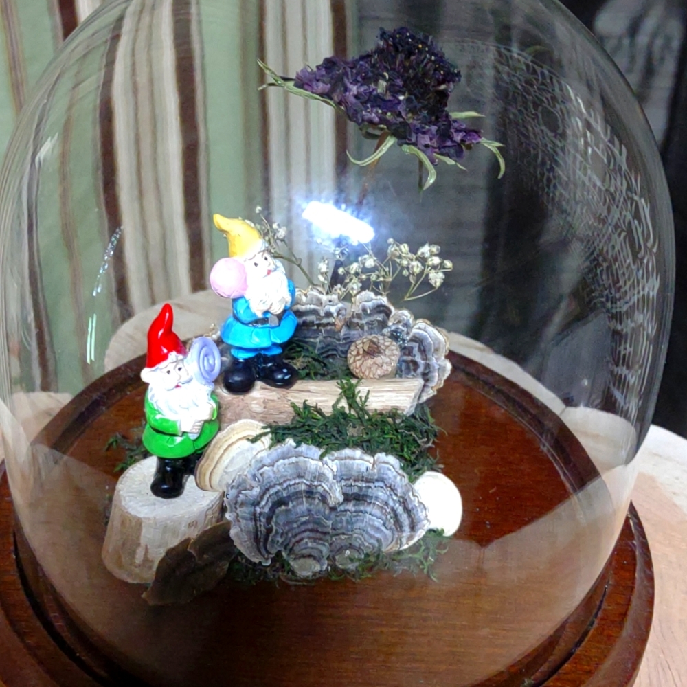 Trolls in the woods dome.